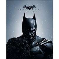 PARADOX INTERACTIVE Batman: Arkham Origins - PC DIGITAL