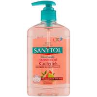 SANYTOL SANYTOL konyhai fertőtlenítő szappan 250 ml