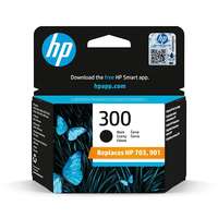 HP HP CC640EE sz. 300 fekete
