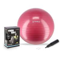 HMS HMS YB01N Gimnasztikai labda, 65 cm, szilva