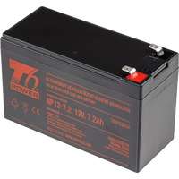 T6 Power T6 Power APC Back-UPS Pro 550 kompatibilis készlet, VRLA, 12 V