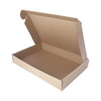 INPAP PLUS s.r.o. Csomagküldő doboz, 3 rétegű, 317 x 222 x 50 mm, barna