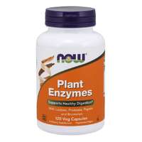NOW® Foods NOW Plant Enzymes, Növényenzimek, 120 növényi kapszulában