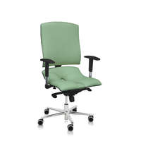  Asana Steel Standard ergonomikus irodai szék Kárpit színe: ECO-bőr Zöld 569, Kartámla: kartámla nélküli