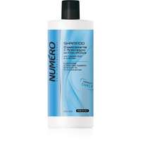 Brelil Professional Brelil Professional Elasticizing & Frizz-Free Shampoo sampon hullámos hajra 1000 ml