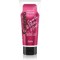 Delia Cosmetics Delia Cosmetics Cameleo Smooth & Shine 60 sec hajkrém a fénylő és selymes hajért 250 ml