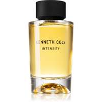 Kenneth Cole Kenneth Cole Intensity EDT 100 ml