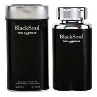 Ted Lapidus Ted Lapidus Black Soul EDT 100 ml