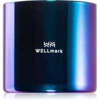 Wellmark Wellmark Better Silk illatgyertya 1 db