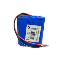 NapiKütyü Li-ion Akkumulátor 2x4000mAh 3.2V, 7,5 x 8 x 3,5 cm, kék