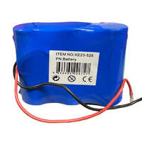 NapiKütyü Li-ion Akkumulátor 3x4000mAh 3.2V, 10 x 8 x 3,5 cm, kék