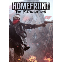 Deep Silver Homefront: The Revolution - The Wing Skull Pack (DLC) (PC - Steam elektronikus játék licensz)
