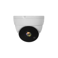 Level One LevelOne ACS-5302 biztonsági kamera Dóm CCTV biztonsági kamera Beltéri és kültéri Plafon (ACS-5302)