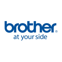 Brother Brother DK-22214 - thermal paper - Roll (1.2 cm x 30.5 m) (DK22214)