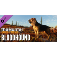 Expansive Worlds theHunter: Call of the Wild - Bloodhound (PC - Steam elektronikus játék licensz)