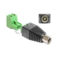 Delock DELOCK Adapter Terminalblock 2Pin -> DC 2,5 x 5,5mm Bu 2-tei (65486)