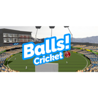 stickee Balls! Virtual Reality Cricket (PC - Steam elektronikus játék licensz)