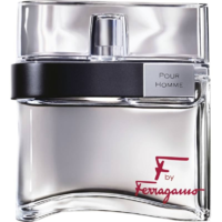 Salvatore Ferragamo Salvatore Ferragamo F by Ferragamo Pour Homme EDT 100ml Uraknak (8032529115653)