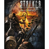 GSC Game World S.T.A.L.K.E.R.: Call of Pripyat (PC - Steam elektronikus játék licensz)