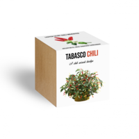 N/A Tabasco chili paprika növényem fa kockában (WDWR-nov-035)