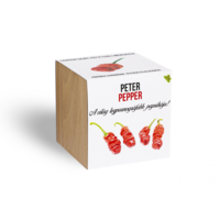 N/A Peter Pepper chili paprika növényem fa kockában (WDWR-nov-004)