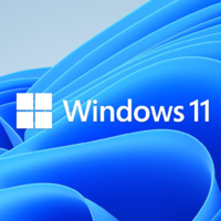 Microsoft Microsoft Windows 11 Professional 64-bit ENG DSP OEI DVD (FQC-10528) (FQC-10528)