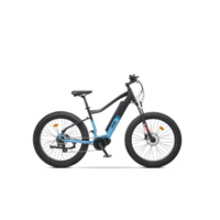 JEEP JEEP E-bike Blizzard elektromos bicikli (JE-BI-220003) (JE-BI-220003)