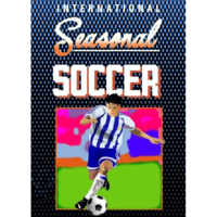 JTS Development Seasonal Soccer (PC - Steam elektronikus játék licensz)