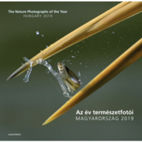 ALEXANDRA KÖNYVESHÁZ KFT. Az év természetfotói - Magyarország 2019 - The Nature Photographs of the Year - Hungary 2019 (BK24-178073)