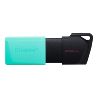 Kingston Kingston DataTraveler Exodia M - USB flash drive - 256 GB (DTXM/256GB)