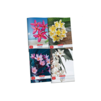 Herlitz Herlitz x.book: Flower 32 lapos A4 négyzetrácsos füzet - Többféle (9088386)