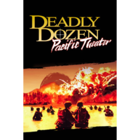 Ziggurat Deadly Dozen: Pacific Theater (PC - Steam elektronikus játék licensz)