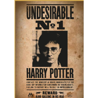 Thumbs up! ThumbsUp! Puzzle Harry Potter Wanted No.1 1000Teile (HPPZ-101)