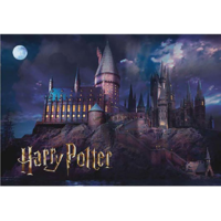 Thumbs up! ThumbsUp! Puzzle Harry Potter Hogwarts Schule 1000Teile (HPPZ-105)