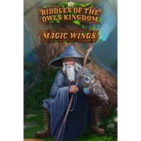 DigiMight Riddles of the Owls' Kingdom. Magic Wings (PC - Steam elektronikus játék licensz)
