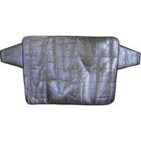 IWH Szélvédő takaró fólia 180 x 85 mm, IWH 1497271 (4045914701014)