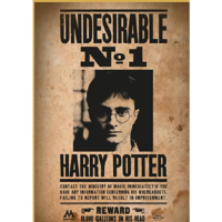 Thumbs up! ThumbsUp! Puzzle Harry Potter "Wanted No.1" 50Teile (8435450255397)