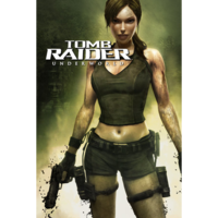 Square Enix Tomb Raider: Underworld (PC - GOG.com elektronikus játék licensz)