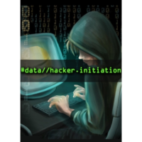 New Reality Games Data Hacker: Initiation (PC - Steam elektronikus játék licensz)