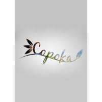 Guru Games Copoka (PC - Steam elektronikus játék licensz)