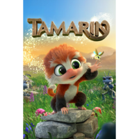 Chameleon Games Tamarin (PC - Steam elektronikus játék licensz)