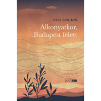 Páll Szilárd Alkonyatkor, Budapest felett (BK24-214602)