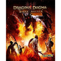 Capcom Dragon's Dogma: Dark Arisen (PC - Steam elektronikus játék licensz)
