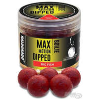 HALDORÁDÓ MAX MOTION Boilie Dipped 20 mm - Nagy Hal 100g