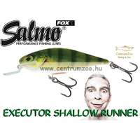  Salmo Executor 5Cm 5G 0,6M (Qex004) Real Perch