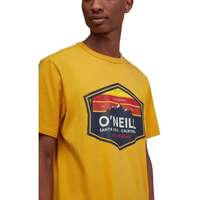 O'Neill O'Neill LM Mtn Horizon Ss T-Shirt D