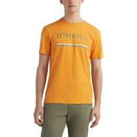 O'Neill O'Neill Arrowhead T-Shirt D