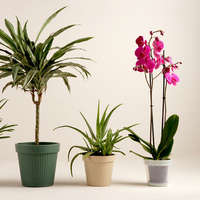 Truper Truper Pa-366 Seeger (Zéger) Fogó Egyenes (Belső) 17,5 Cm (17361)