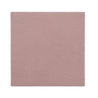 Thermal Grizzly Minus Pad 8 - 100x 100x 3,0mm (rosa)