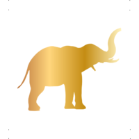  Ormányos elefánt autó matrica arany #613